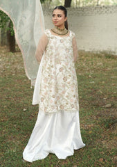 Formals - Zar - Riwaayat Unstitched 26 - WF-Z#003 - Roshni