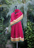 Shawl Collection - Sadias Collection - Chiffon Dupatta - D#05 Maroon Olive Emb