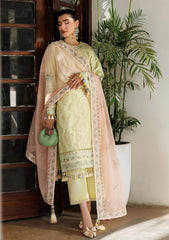 Lawn - Alizeh - Eid Festive 26 - AF-EL#7054 - Faha