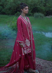 Winter - Gul Ahmed - Printed Pashmina - AP#62013