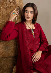 Winter - Humdum - Mushak - Embroidered Karandi 26 - D#03