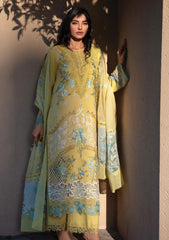 Lawn Collection - Rang Rasiya - Premium - RSP24#01 - Amani
