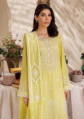 Lawn - Rajbari - Nissa Chikankari Edition S/S 25 - D#02