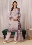 Winter Collection - Dressline - Mahrukh - DM24#11825 B