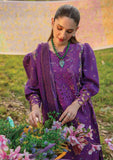 Lawn Collection - Rang Rasiya - Carnation Festive Edit - RC24#01 - NORA