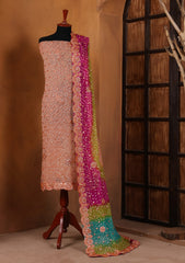 Formals - Bahawalpur Pehnawa - Chiffon - 2 Piece - D#16