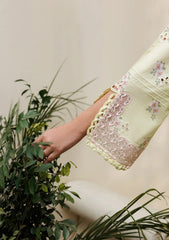 Pret - Zarif - Amani Eid 26 - ZL-RTW#02 - DAAHR