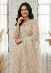 Formals - Riwaj - Fancy Net - 2 Pcs Suit - D#01 - L Peach