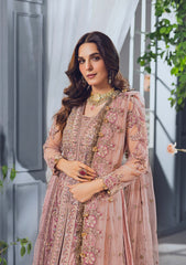 Formal Collection - Rubaaiyat - Wedding Edit 24 - Tea Pink