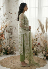 Formals - Riwaj - Fancy Net - 2 Pcs Suit - D#01 - Mehndi