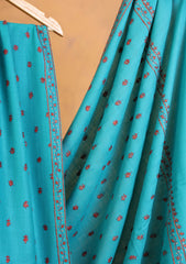 Pashmina Kashmiri Border Shawl D#177 - DS Green