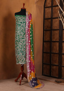 Formals - Bahawalpur Pehnawa - Chiffon - 2 Piece - D#14