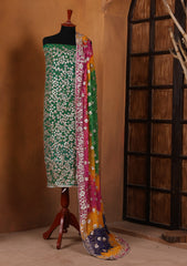 Formals - Bahawalpur Pehnawa - Chiffon - 2 Piece - D#14