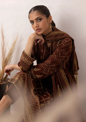 Winter Collection - Lakhany - Pashmina - Prints - LG-AM-0050-C