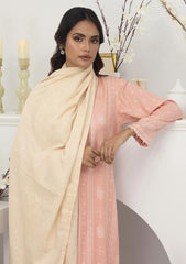 Winter Collection - Lakhany - Pashmina Shawl Edition - LG-AA-0023-A