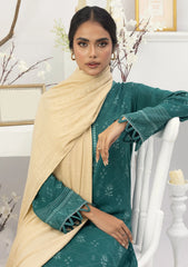 Winter Collection - Lakhany - Pashmina Shawl Edition - LG-EA-0476-A
