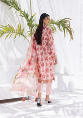 Lawn Collection - Lakhany - Komal Signature Prints - LG-MM-0103