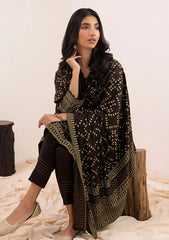 Winter Collection - Lakhany - Pashmina - Prints - LG-SR-0148-C