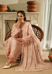 Winter - Humdum - Mushak - Embroidered Karandi - H25#09