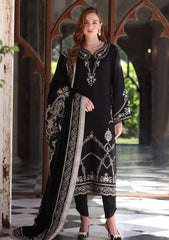 Winter - Noor by Saadia Asad - Pashmina Shawl 25 - NSP#07 - Obsidian