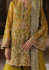Formals - Afrozeh - Shehnai Wedding 26 - Zarminay