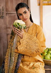 Lawn - Nureh - Bazaar - Embroidered Chikankari 26 - NE#254