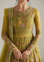 Formals - Vera - Wedding Festive 26 - Marigold Mustard Pishwas Set