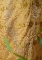 Formals - Fancy Closet - 2 pcs Suit - Chiffon Jamawar D#78 D Peach