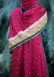 Shawl Collection - Sadias Collection - Chiffon Dupatta - D#05 Maroon Olive Emb