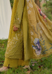 Lawn - Rang Rasiya - Luxury Eid 26 - RLE#12 - HAYA