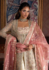 Formals - Mushq - Darlings - Wedding 25 - MWD#104 - JHILMIL