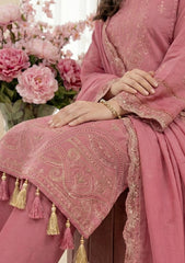 Winter - Meemsey - Noor Jahan - Rangoli Dhanak 25 - D#226 - T Pink