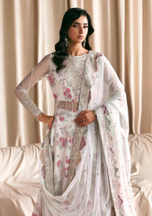 Formals - Zarif - Siraya Printed 26 - D#03 - CHASHNI