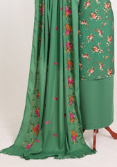 Winter - Riwaj - Printed Cotray Suit - Wool Shawl - D#16 - D Green
