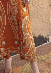 Winter - Saira Shakira - Unstitched Winter 25 - SSW#5-B - Afsaneh