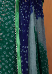 Formals - Bahawalpur Pehnawa - Chiffon - 2 Piece - D#13