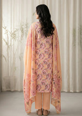 Lawn - Rubaaiyat - Chikankari 26 - Organza Dupatta - D#02 - Peach
