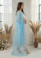 Formals - Riwaj - Fancy Net - 2 Pcs Suit - D#01 - Sky Blue