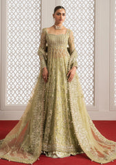 Formals - Afrozeh - Aure 26 - FWO#1234 - THEODORA