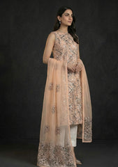 Formals - Riwaj - Fancy 26 - Chikankari & Mukesh - 2 Pcs - D#01 - D Peach