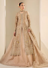 Formals - Meeral - Celestia Wedding 26 - D#1187 - ANASTASIA