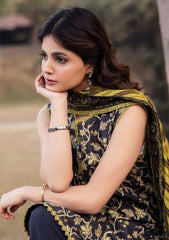 Lawn - Asim Jofa - Essential 25 - Vol-05 - AJUBJ-26