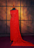 Winter Collection - Riwaj - Bamber Chikankari W/ Sequence Work - Red