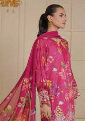 Lawn - Johra - Zunaira 26 - JH#1161