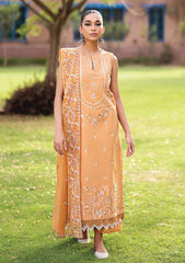 Lawn - Humdum - Selin - HS25#07