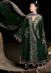 Winter - Hussain Rehar - Kot Radha Kishan - Karandi 26 - CELADON