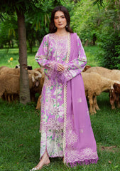 Winter - Mahnur - Gardenia - Khaddar 25 - GR#12