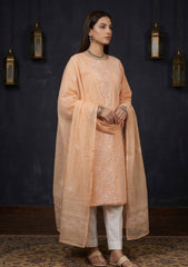 Formals - Riwaj - Fancy 26 -  Ari & Mukesh Work - 2 Pcs - D#01 - L Peach
