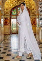 Formals - Bahawalpur Pehnawa - Georgette Chiffon - 2 piece - JC#13