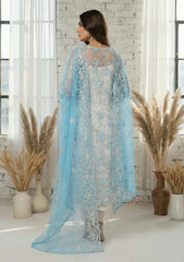 Formals - Riwaj - Fancy Net - 2 Pcs Suit - D#01 - Sky Blue